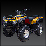 250cc ATV ATA-250