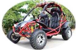 Falcon 200cc Go Kart