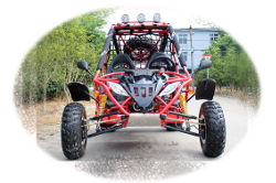 200cc Gokart front view