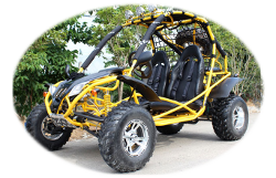 go Kart Falcon 200