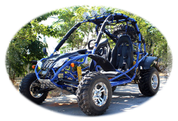 Blue 200cc Go Kart
