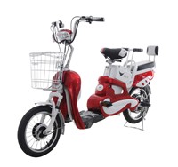 48V Electric Bicycle