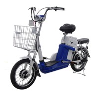 36V Bicycle