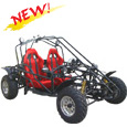 GK-31 1000CC Gokart
