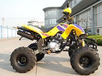 XT250ATV