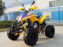 XT250ATV