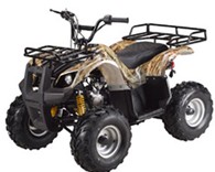 110cc Youth Utility ATV with reverse