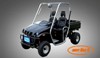 250cc Utility Vehicle