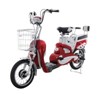 Electric Bicycle