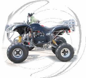 ATV-81 125cc