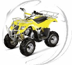 CARB 110cc ATV