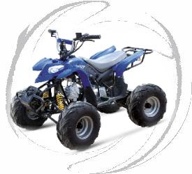 110cc ATV