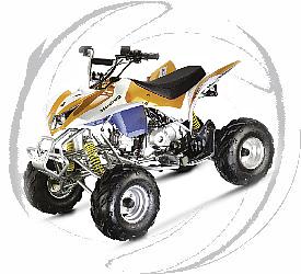 110cc CARB ATV with Reverse