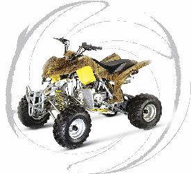 110cc ATV