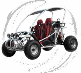 250cc CARB Go Kart