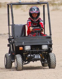 110 Mini Utility Vehicle Sale
