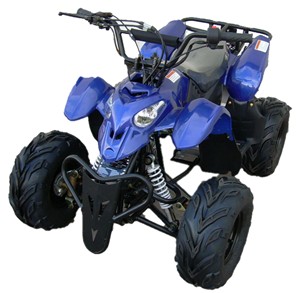 ATV Sale $435.00 110cc