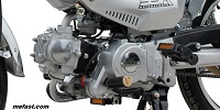 Lazer 5 49cc engine, Fully automatic transmission
                  , no shifting