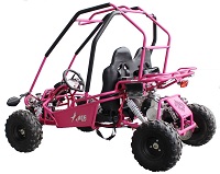 ACE G125 Go Kart 125cc Pink Rear View