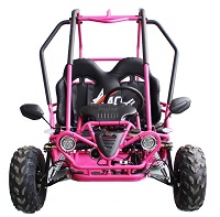 ACE G125 Go Kart 125cc Pink
