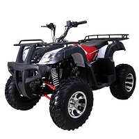 Left side view BULL 200S 169CC ATV