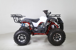 Force 125 125cc ATV Right side view