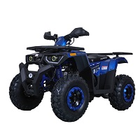 Tao Raptor 200 169cc ATV Blue