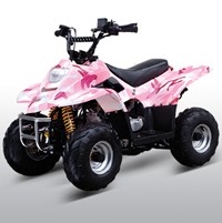 ATA-110B Pink Camo