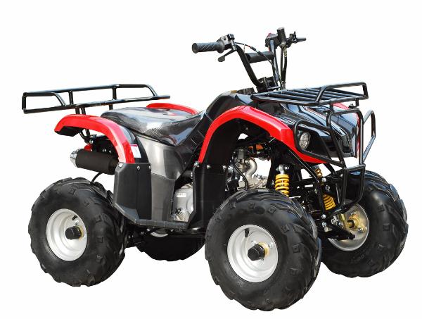 110cc ATA110-D Black