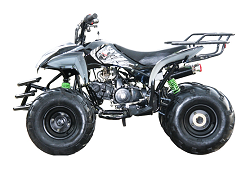 Fully
                          Automatic 125cc Sport ATV