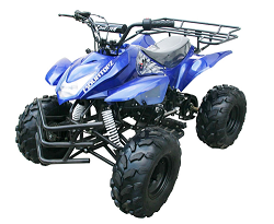 Sport ATV Blue 3125A
                  125CC