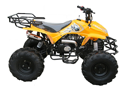 125cc Sport ATV
                  3125A Fully Automatic
