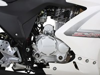 250 cc Crotch rocket engine