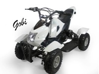 Electric ATV Gobi