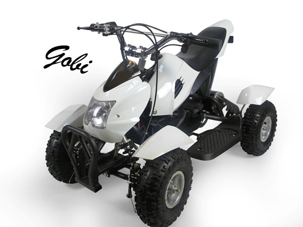Gobi electric ATV
