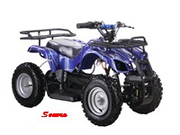 Electric ATV