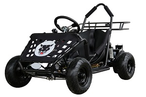 Electric Go kart Black