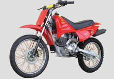 100cc Dirtbike LF100GY-B