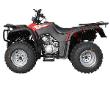 ATV-10 250cc ATV