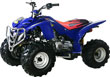 ATV-31
