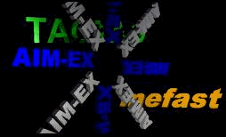 Aim-Ex Logo